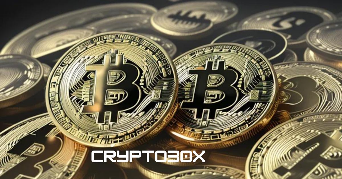 Edna Foster CryptoProNetwork: Revolutionizing Blockchain Tech